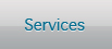 Website Hosting Services